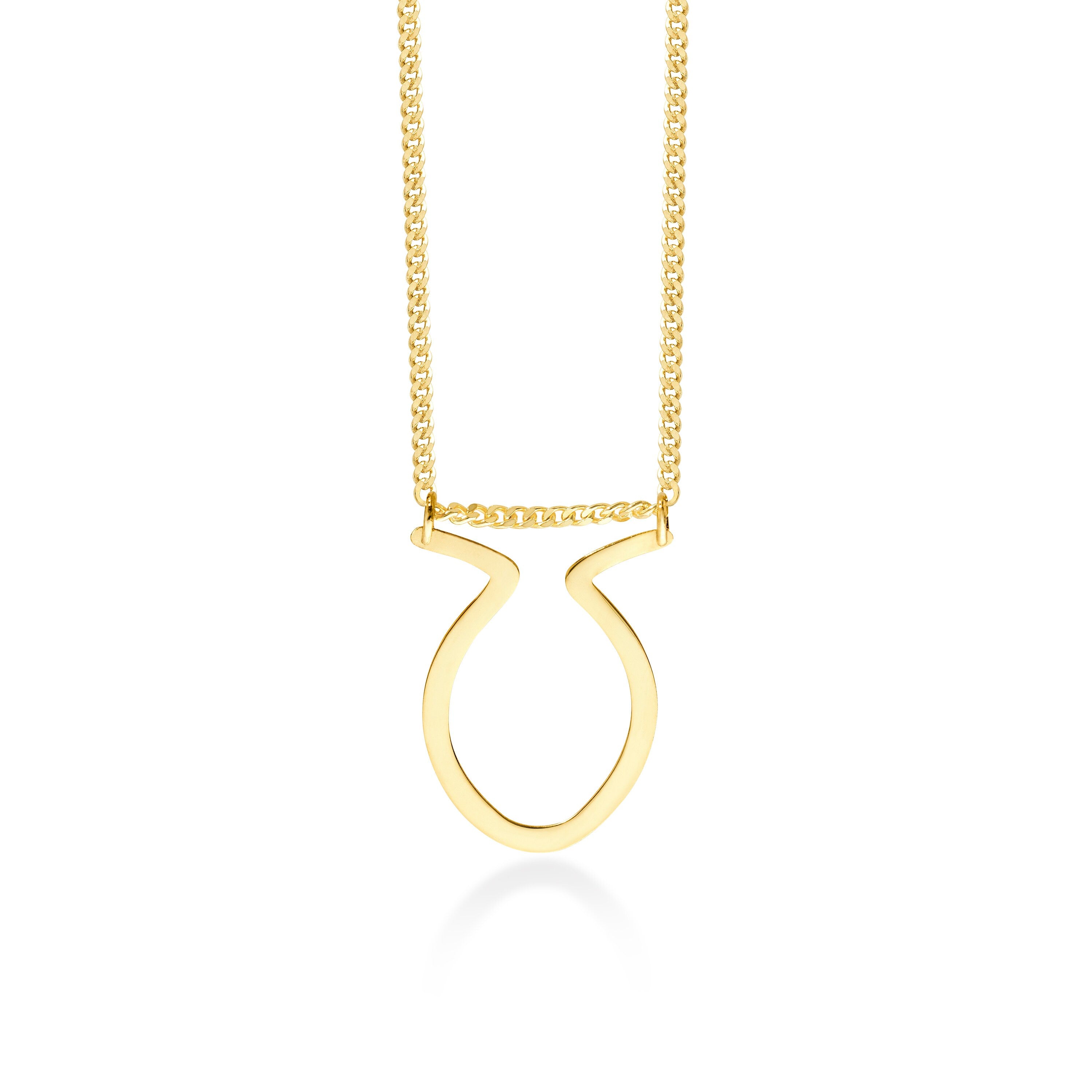 Oval Horn Mens Ring Holder Necklace